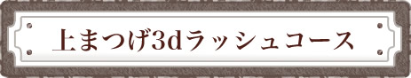 3dラッシュコース